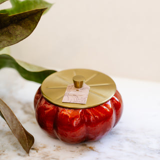 Thymes Pumpkin Laurel Candle Large