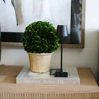 Poldina Pro Micro Lamp