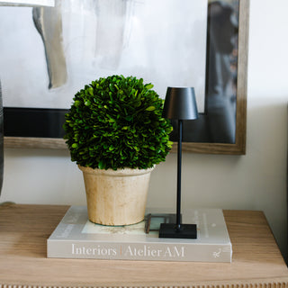 Poldina Pro Micro Lamp