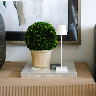 Poldina Pro Micro Lamp