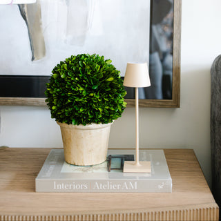 Poldina Pro Micro Lamp