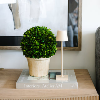 Poldina Pro Micro Lamp