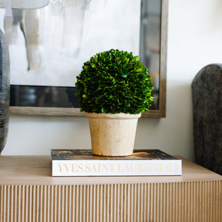 Boxwood 8" Ball in Pot