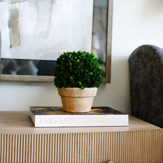 Boxwood Ball in Pot Small