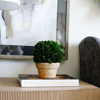 Boxwood Ball in Pot Small