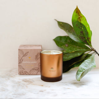 Thymes Pumpkin Laurel Aromatic Candle