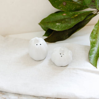 Pumpkin Salt & Pepper Set