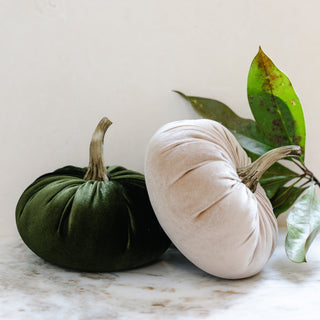 Velvet Pumpkin with Brown Stem