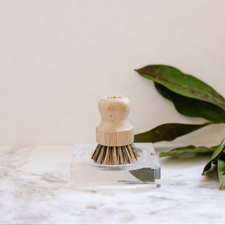 L'avant Dish Scrubber