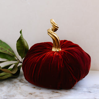 Velvet Pumpkin with Gold Stem